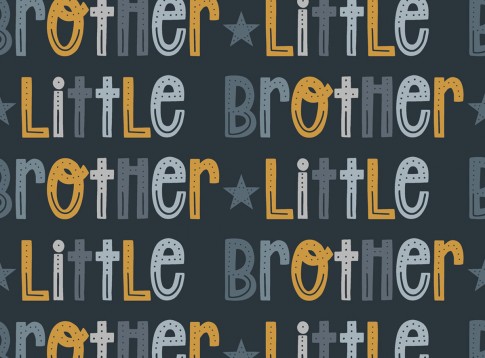 VORBESTELLUNG *Petrol Little Brother* Bio Jersey *Boys & Girls Serie* "Staghorn exklusiv” Eigenprodu