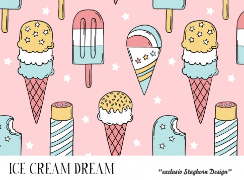VORBESTELLUNG *Ice Cream Dream* Bio Jersey *Ice Cream Girls Serie* 